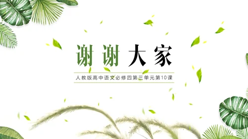 高中语文人是一根能思想的苇草PPT课件