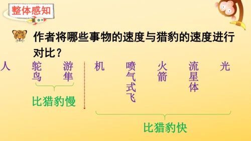 7 什么比猎豹的速度更快    课件