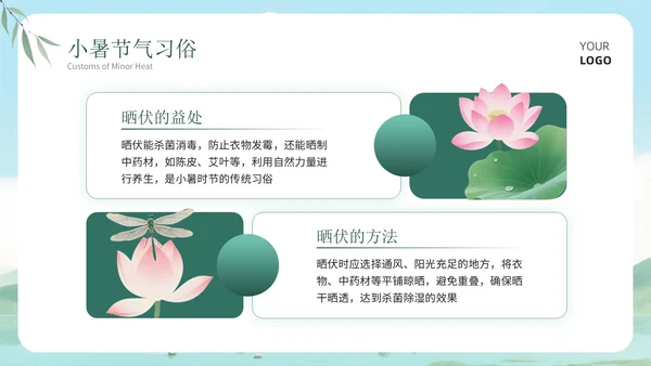 绿色清新风小暑科普讲座PPT模板
