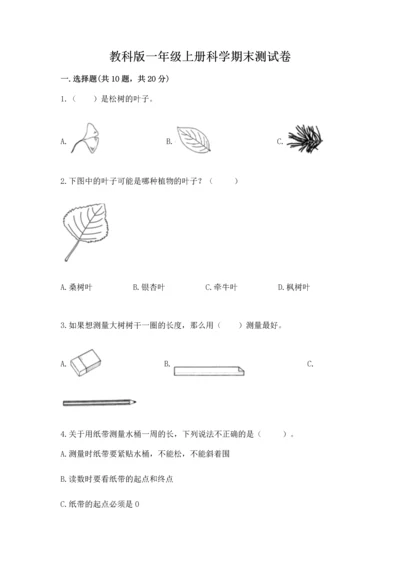 教科版一年级上册科学期末测试卷带答案（b卷）.docx