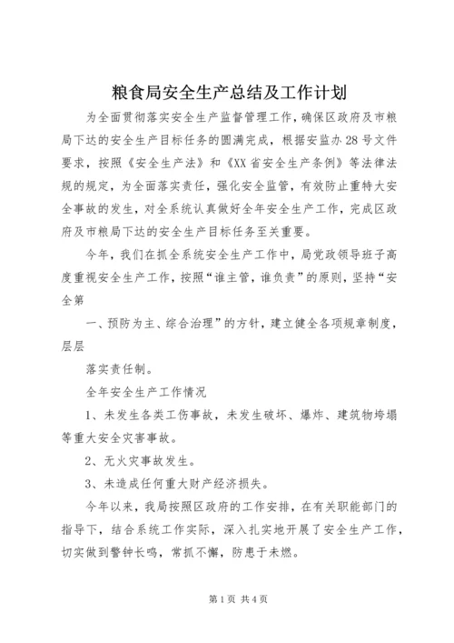 粮食局安全生产总结及工作计划 (2).docx