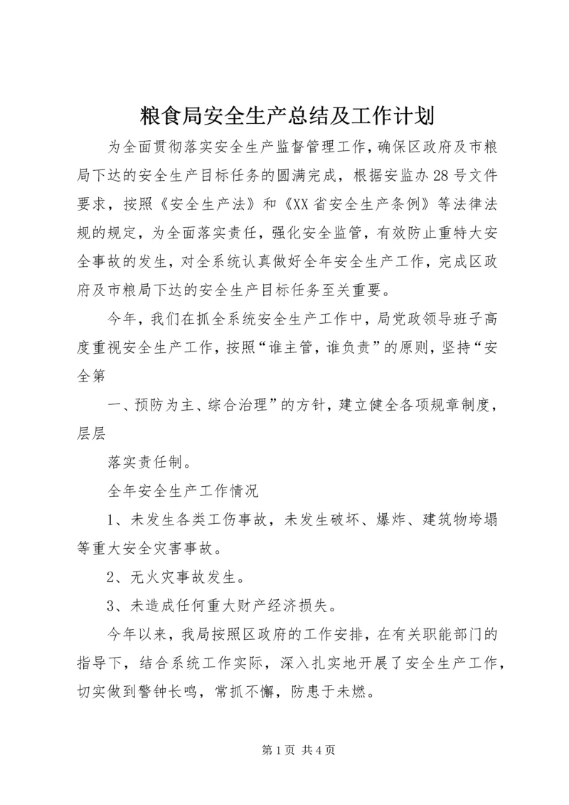 粮食局安全生产总结及工作计划 (2).docx