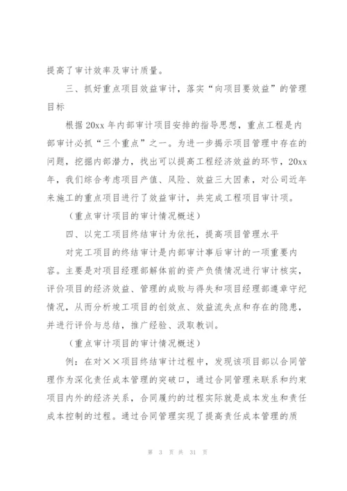 审计个人工作总结800字范文.docx