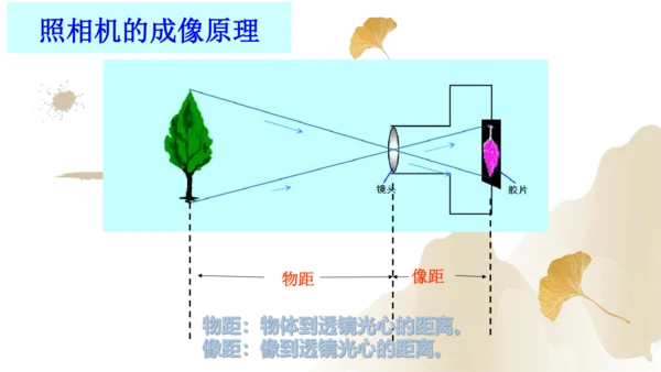 5.2生活中的透镜（课件）(共21张PPT) -2023-2024学年八年级物理上册同步精品课堂（人