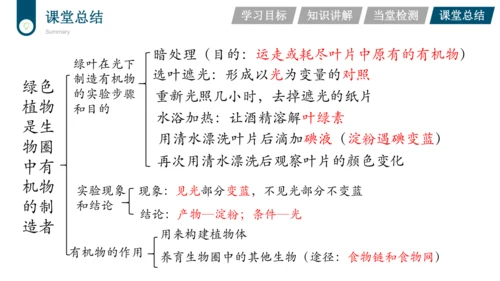 3.3.4  绿色植物是生物圈中有机物的制造者  课件-2023-2024学年人教版生物七年级上册(