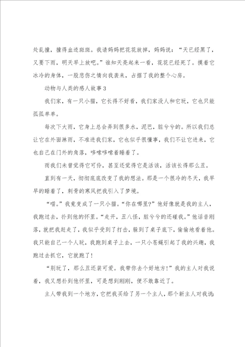 动物与人类的感人故事小学生