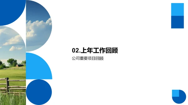 公司年度绩效回顾