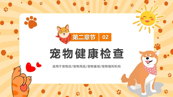 猫咪，宠物健康管理PPT模板