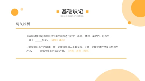 喜看麦浪大丰收农业发展PPT模板