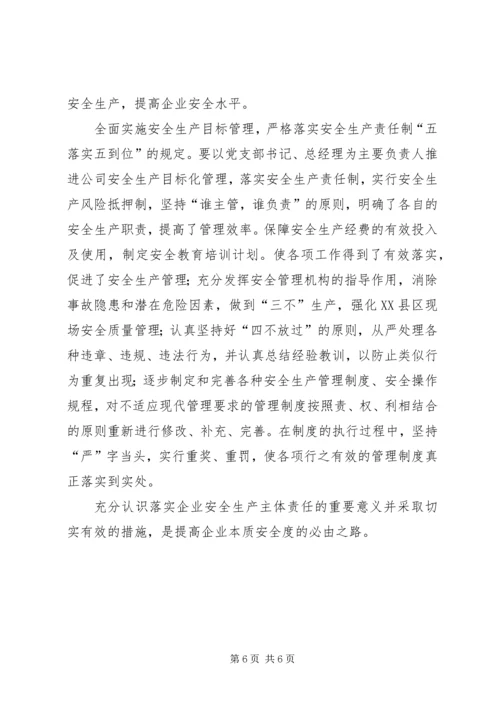 全面落实企业安全生产主体责任 (4).docx