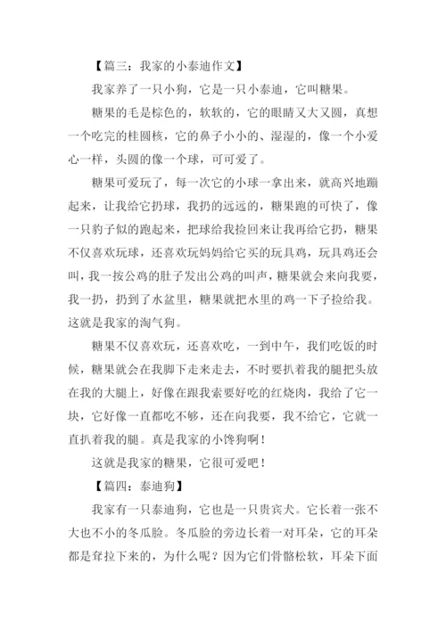 小动物泰迪作文.docx