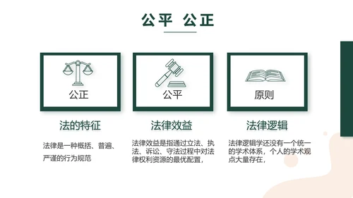 稳重大气法律律法工作报告动态PPT