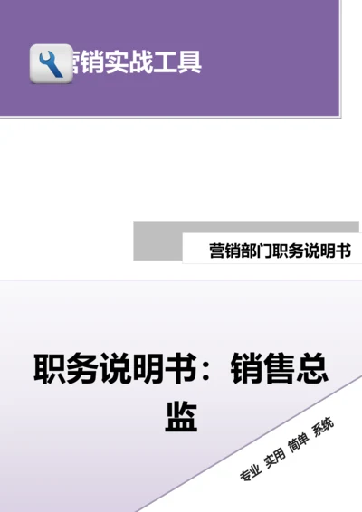 职务说明书——销售总监.doc.docx