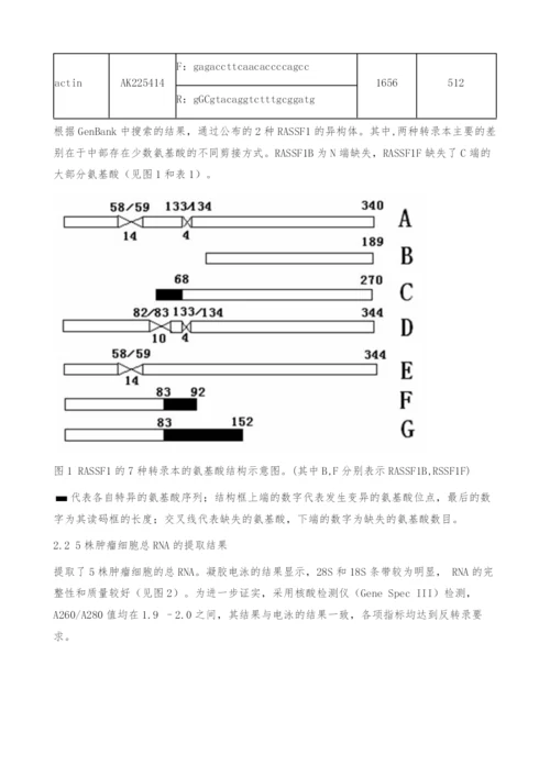 基因RASSF1B、RASSF1F在肿瘤细胞中转录表达及临床意义.docx