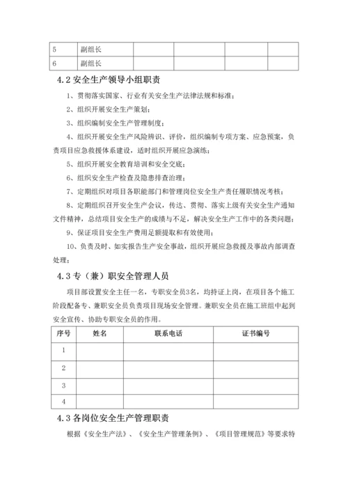 项目安全生产管理策划书.docx