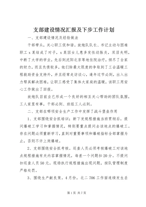 支部建设情况汇报及下步工作计划.docx