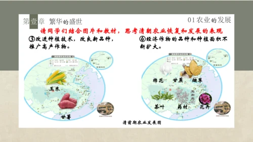 第19课 清朝前期社会经济的发展 课件