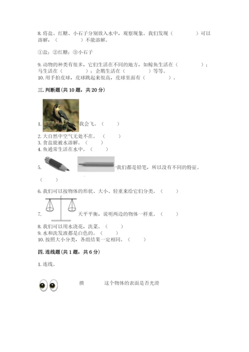 教科版一年级下册科学期末测试卷精品【基础题】.docx