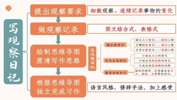 【四上课件】习作三：写观察日记
