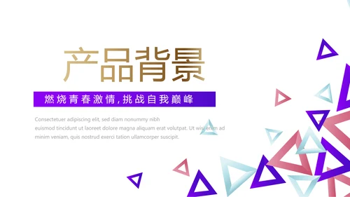 创意几何三角形大气公司产品介绍宣传通用PPT