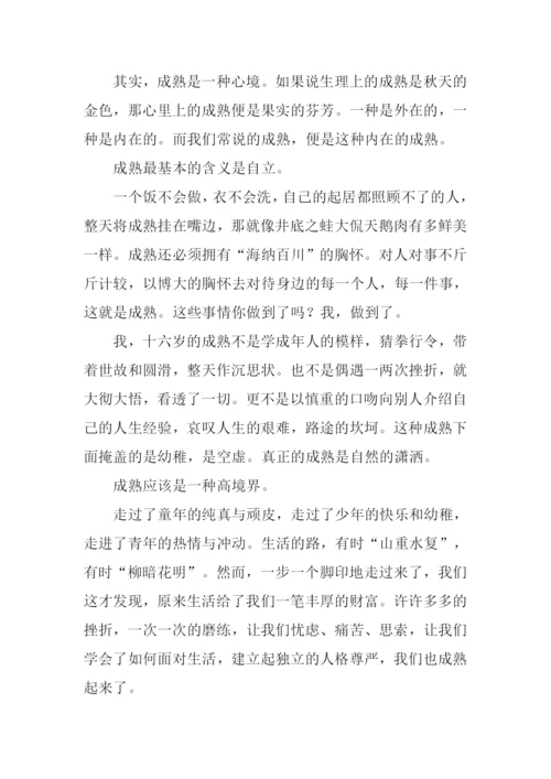 十六岁我多了一份什么作文.docx