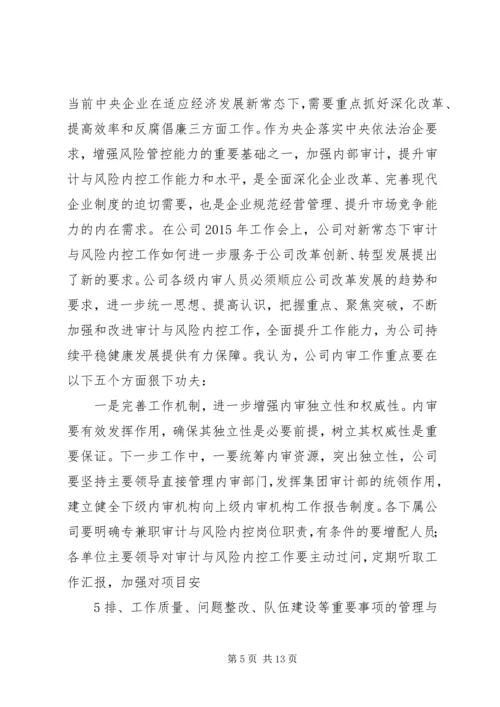 内审分管领导讲话(精) (2).docx