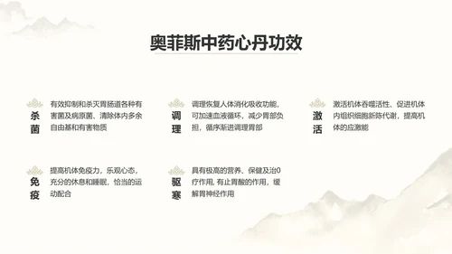 中国风中医药医疗保健产品介绍