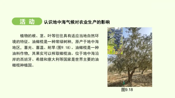 9.2 欧洲西部（课件32张）-2024-2025学年七年级地理下学期人教版(2024)