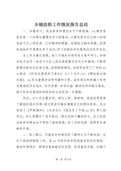 乡镇挂职工作情况报告总结.docx