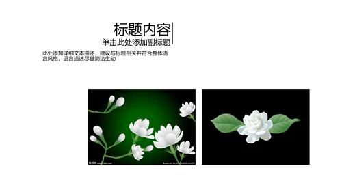 开头视频片头好一朵茉莉花ppt动态模板