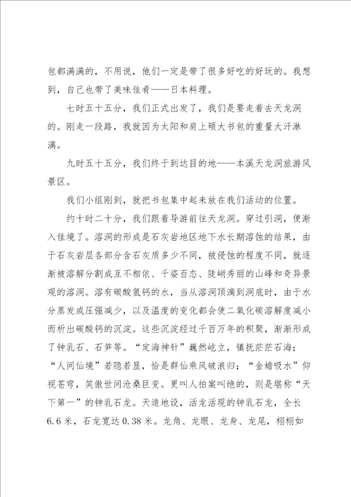 实用的初中暑假作文集锦六篇