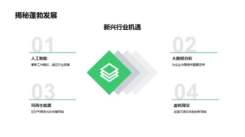 就业启航：策略与选择