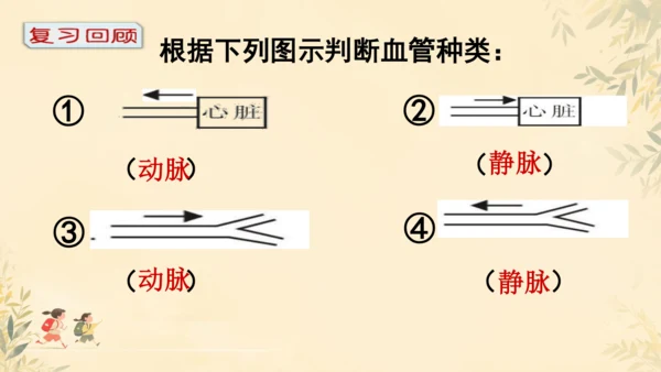 初中生物学>人教版（新课程标准）七年级下册4.4.3 输送血液的泵──心脏课件(共23张PPT)