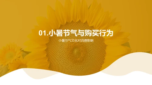 小暑节气营销策略