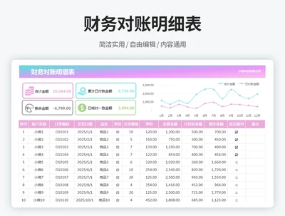财务对账明细表