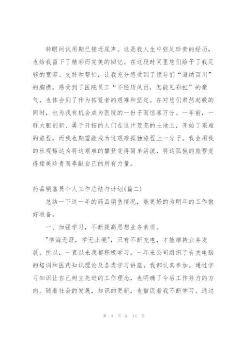 药品销售员个人工作总结与计划.docx