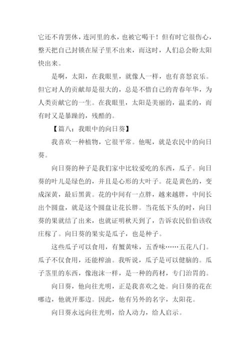 我眼中的作文300字.docx