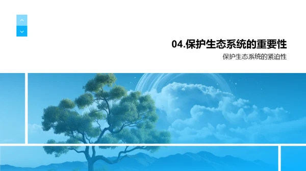 探索生态系统