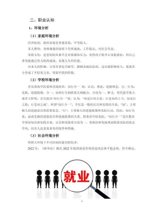11页5500字环境设计专业职业生涯规划.docx