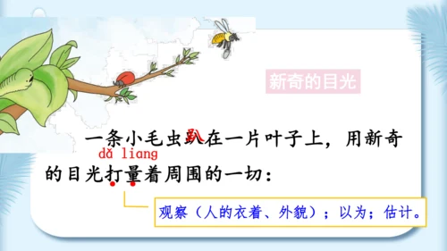 22.小毛虫（第二课时）教学课件