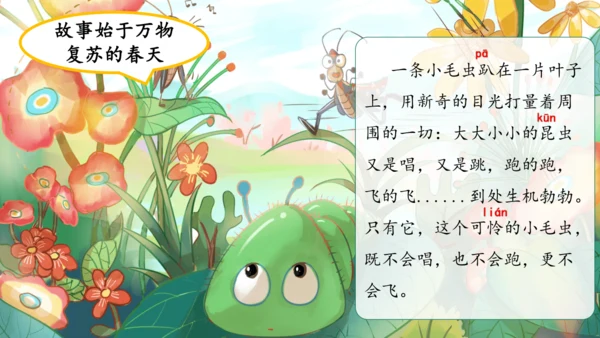 22《小毛虫》课件