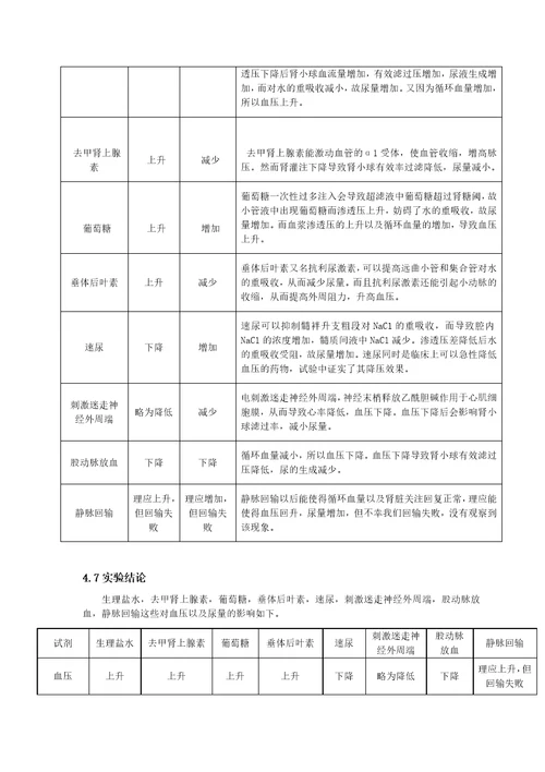 生理实验尿生成的调节