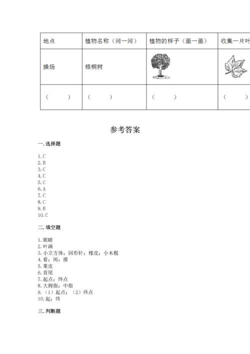 教科版小学一年级上册科学期末测试卷附参考答案（综合卷）.docx