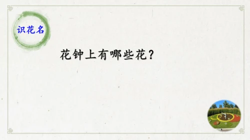 13《花钟》（课件）