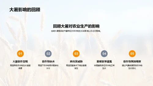 大暑气象与农业生产