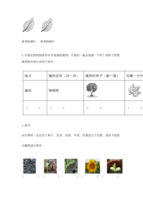 教科版一年级上册科学期末测试卷及答案下载.docx