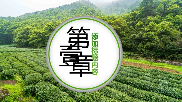 绿色清新茶园茶艺茶道文化动态PPT模板
