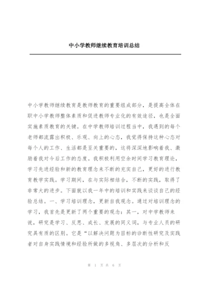 中小学教师继续教育培训总结.docx