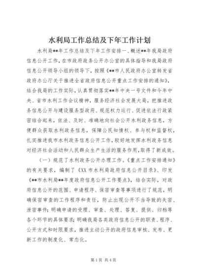 水利局工作总结及下年工作计划.docx