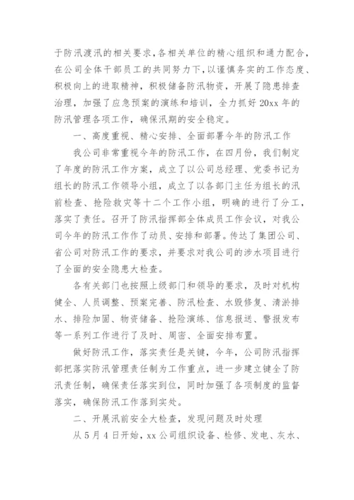 防汛防洪工作总结.docx